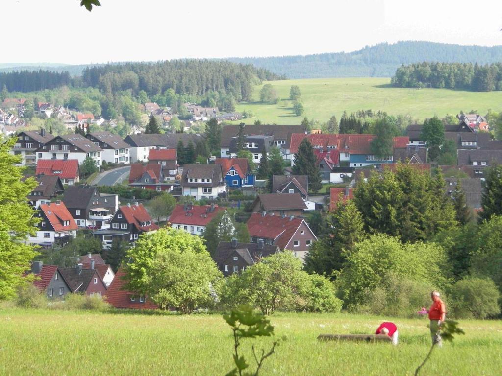 Landhaus Irmgard Braunlage Ngoại thất bức ảnh